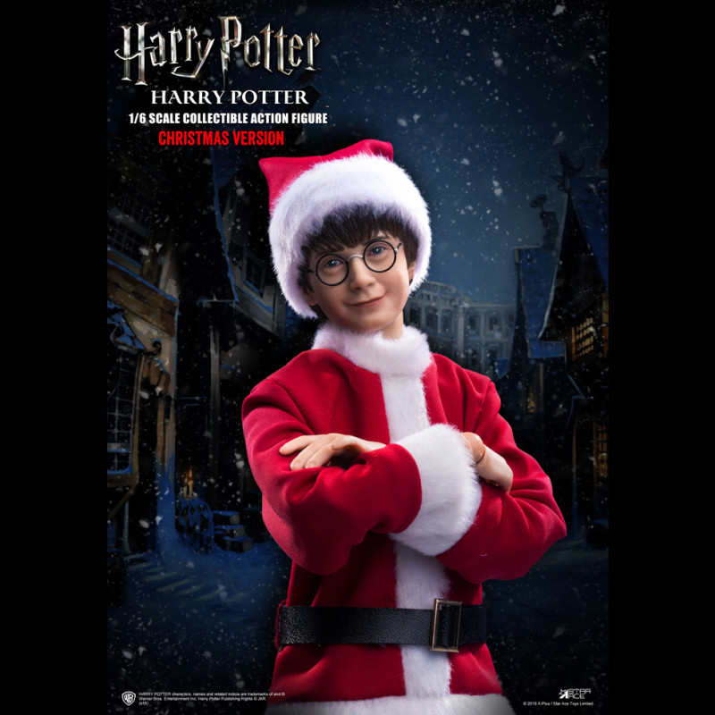 HARRY POTTER (XMAS)